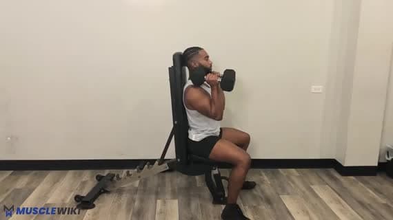 Dumbbell Neutral Seated Overhead Press