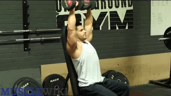 Dumbbell Seated Overhead Press