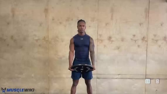 Сгибание рук с диском → жим над головой → разгибание трицепса