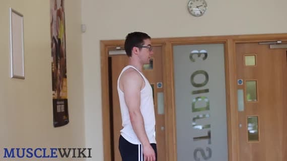 تمدد العضلة ثلاثية الرؤوس — النسخة الأولى