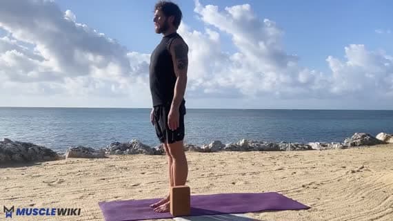 کشش چهارسر ران در وضعیت هلال ماه با بلوک