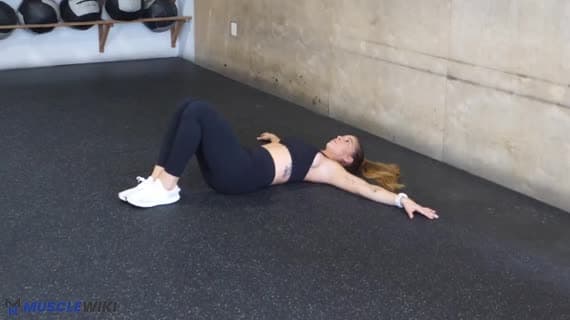 Lower Lumber Rotation Exercise Guia do Exercício Lumbar Rotation 2 - Treino Lower back | MuscleWiki