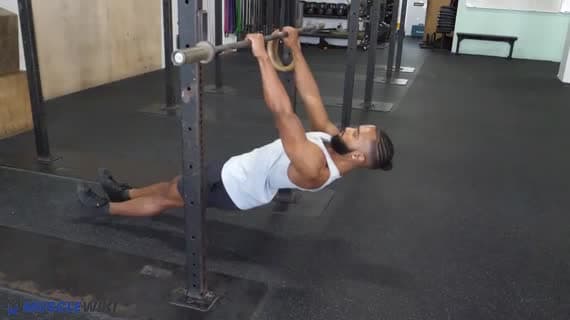 Inverted Rows Overhand Bodyweight Forearm Exercises | MuscleWiki