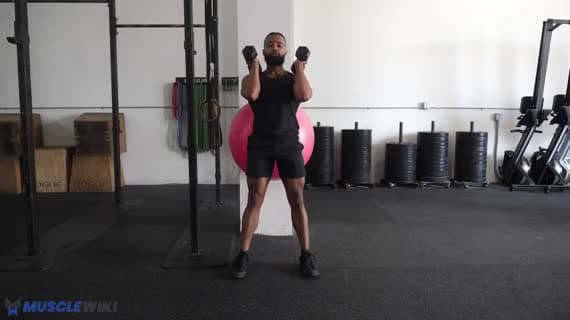 Dumbbell Front Rack Stability Ball Wall Squat 运动指南 - Quads 锻炼 | MuscleWiki