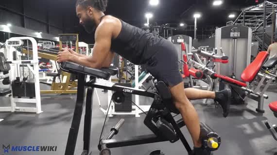 تمارين Machine Hamstring | MuscleWiki