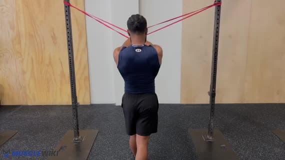 Band Rear Fly Band Rear-Shoulder Exercises | MuscleWiki