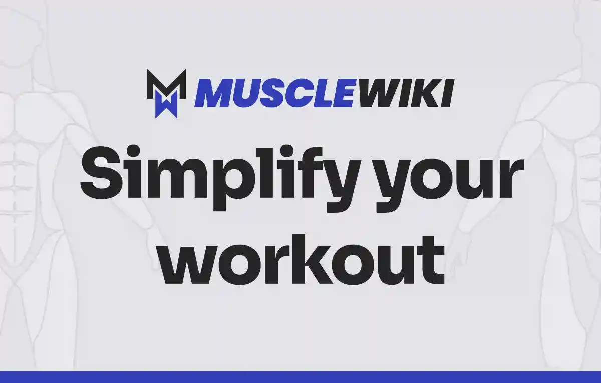 MuscleWiki - Simplify your workout